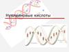 Нуклеиновые кислоты