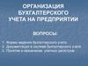 Организация бухгалтерского учета на предприятии