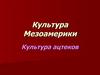 Культура Мезоамерики. Культура ацтеков
