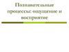 Познавательные процессы: ощущение и восприятие