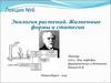 Экология растений. Жизненные формы и стратегии (Лекция №6)