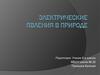 Электрические явления в природе