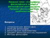 Специфика философского знания и философской деятельности.  Предмет философии и ее проблематика