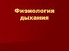 Физиология дыхания. Легочная вентиляция