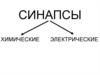 Синапсы химические, электрические