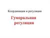 Координация и регуляция