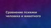 Сравнение психики человека и животного
