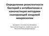 Определение резистентности бактерий к антибиотикам и наночастицам методами сканирующей зондовой микроскопии