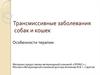 Особенности терапии трансмиссивных заболеваний собак и кошек