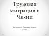 Трудовая миграция в Чехии