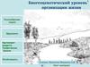 Биогеоценоз. Биогеоценотический уровень организации жизни. Разнообразие видов
