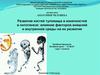 Развитие костей туловища и конечностей в онтогенезе: влияние факторов внешней и внутренней среды на их развитие
