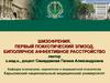 Шизофрения. Первый психотический эпизод. Биполярное аффективное расстройство