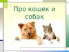 Про кошек и собак