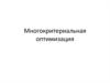 Многокритериальная оптимизация