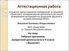 Аттестационная работа. Рабочая программа внеурочной деятельности в 4 классе «Экология»