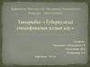 Туберкулезді спецификалық алдын алу
