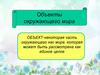 Объекты окружающего мира