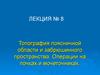 Топография поясничной области и забрюшинного пространства. Операции на почках и мочеточниках