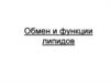 Обмен и функции липидов