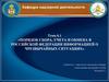 Порядок сбора, учета и обмена в Российской Федерации информацией о чрезвычайных ситуациях