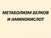 Метаболизм белков и аминокислот