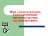 Имя прилагательное. Грамматические категории