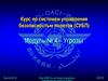 Курс по системам управления безопасностью полетов. Модуль № 4 – Угрозы