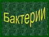 Бактерии. Строение бактерий. Распространение бактерий. Роль бактерий в жизни человека
