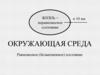 Окружающая среда. Равновесное (безжизненное) состояние