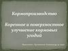 Кормопроизводство. Коренное и поверхностное улучшение кормовых угодий