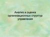 Анализ и оценка организационных структур управления