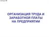 Организация труда и заработной платы на предприятии. Кадры предприятия