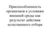 Приспособленность организмов к условиям внешней среды как результат действия естественного отбора