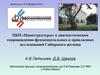ЦКП «Наноструктуры» в диагностическом сопровождении фундаментальных и прикладных исследований Сибирского региона
