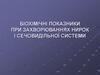 Біохімічні показники при захворюваннях нирок і сечовидільної системи
