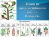 Поняття про класифікацію рослин. Водорості