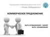 Коммерческое предложение. Городская информационная сеть – «Голос Хабаровска»