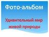 Удивительный мир живой природы