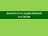 Физиология эндокринной системы
