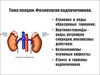 Физиология надпочечников
