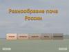 Разнообразие почв России