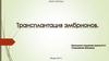 Трансплантация эмбрионов