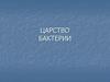 Царство Бактерии