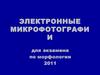 Электронные микрофотографии для экзамена по морфологии