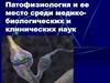 Патофизиология и ее место среди медико-биологических и клинических наук