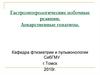 Гастроэнтерологические побочные реакции. Лекарственные гепатиты