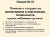 Понятие о сосудистых коллатералях и анастомозах. Особенности кровоснабжения органов