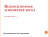 Межполушарная асимметрия мозга (часть 1)