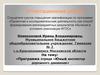 Аттестационная работа. Программа отряда «Юный инспектор дорожного движения»